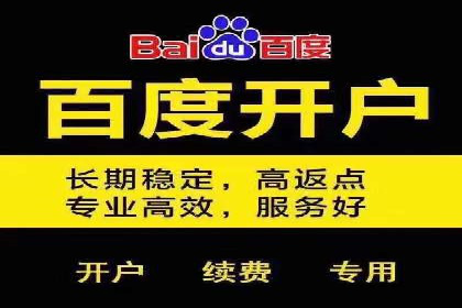 创新驱动：SEM竞价优化的多维度案例分析