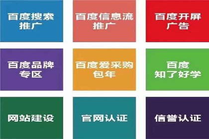 行业领先的SEM投放效果案例解析